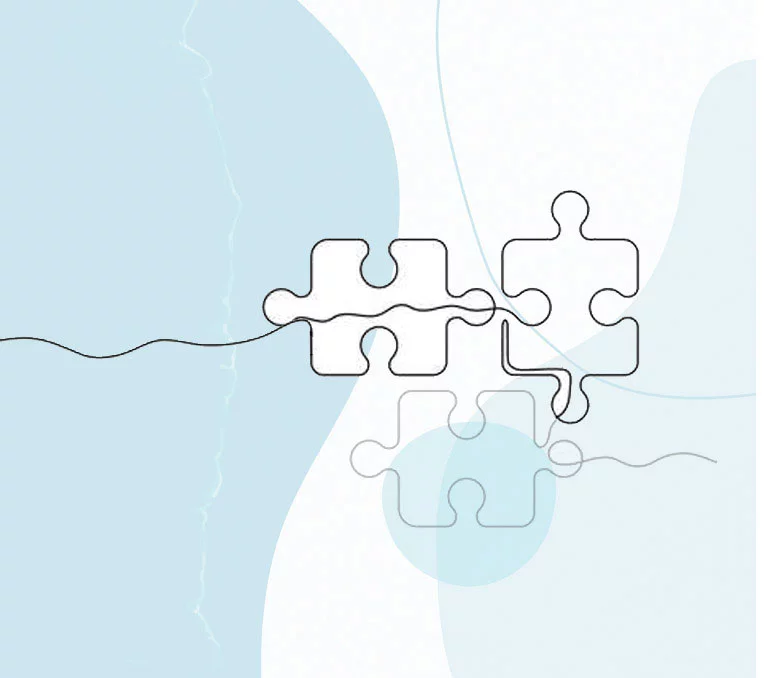 bilan de competences bayonne mysens transition etape 2