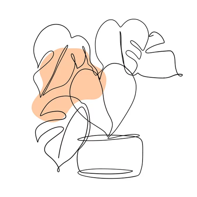 bilan de competences bayonne mysens transition etape 4